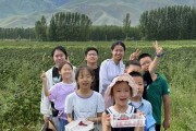 暑期研学热路线怎么选？家长老师这么说