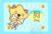 感情运势：30岁属狗感情运势如何（属狗的31岁命运如何）