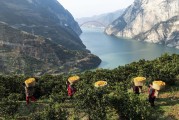 锲而不舍落实中央八项规定精神·办实事解难题 秭归实施山区血透病人“回家”工程