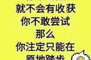 你适合什么项目赚钱英语
