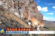 【辉煌60载 魅力新西藏】藏北高原的生态之变