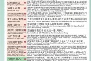 深圳澳门直通巴士