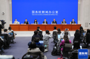 国务院新闻办就2024年春运形势及工作安排举行发布会