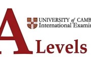 A-Level大考出分全攻略：从查分到PlanB高三生留学必知关键事项