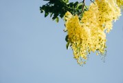 2025年父亲节是哪一天 今年父亲节是几月几号周几