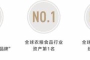 中粮大悦未来城-悦著·央宸-效果图-五证齐全-交房时间-小区