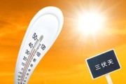 俗话：“公伏热死牛母伏凉飕飕”什么意思？看后涨知识了！