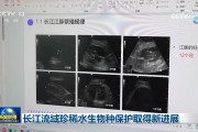 长江流域珍稀水生物种保护取得新进展