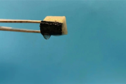 空气中挤水！中澳科学家发明智能海绵