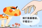 争做新时代文明兴安人 夏季预防食用野生蘑菇中毒小常识
