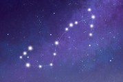 婚后哪个星座男最好