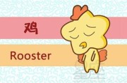 感情运势：2021年鸡男感情运势（2021年属鸡男婚姻运势）