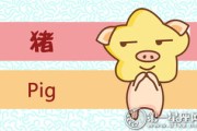 感情运势：猪男2022年感情运势（2022年猪男的全年运势）