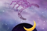 神经科学家发现这个星座的左右脑竟能同时运行3套操作系统