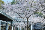 “五一”出游新选择！三条精品线路将开启……