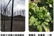 新宾融媒