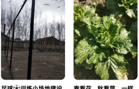 新宾融媒