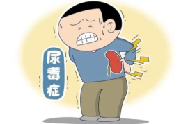 透析不是终点!尿毒症患者的“生命长度”正在被改写