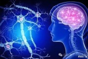正开元肽知识科普： 小分子肽对身体的全面调理有哪些？