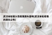 武汉本轮输入性疫情源头查明(武汉本轮疫情的源头公布)