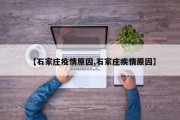 【石家庄疫情原因,石家庄疾情原因】