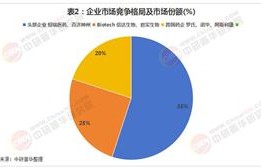 营销策略_中研普华行业研究网