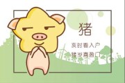 感情运势：属猪人的感情运势如何（属猪人感情婚姻运势）