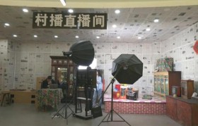 北林:聚力发展电商产业 点燃区域经济高质量发展新引擎