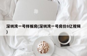 深圳湾一号样板房(深圳湾一号房价8亿视频)