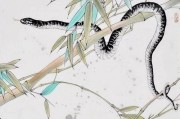 感情运势：蛇在兔年的感情运势（蛇人在兔年的运势）