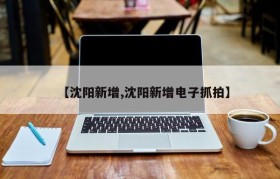 【沈阳新增,沈阳新增电子抓拍】