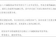 临春、桶井、南丁…三亚开启新一轮大征收!