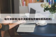 哈尔滨新增(哈尔滨新增加密国际航线航班)