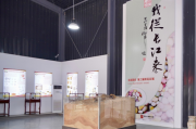 省文史馆馆员建言引重视 “我从长江来”雨花石展奇妙无穷