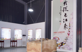 省文史馆馆员建言引重视 “我从长江来”雨花石展奇妙无穷