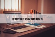 疫情数据汇总/役情数据报告